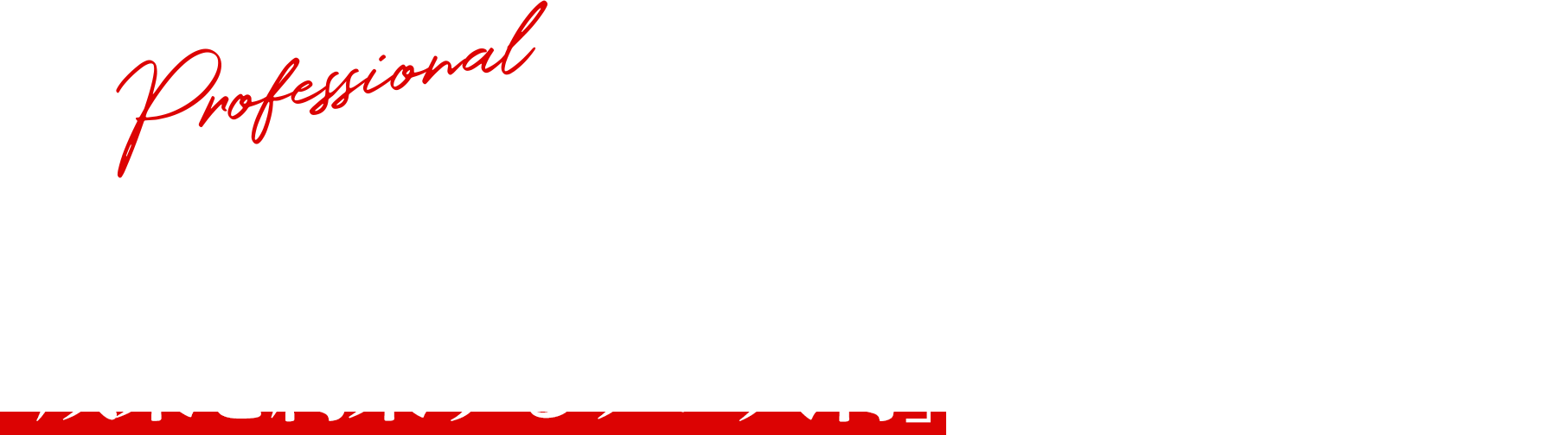 「プロ」の力を、もっと身近に「成果を約束するプロ人材」をご実感ください